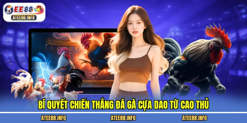 Bí quyết chiến thắng đá gà cựa dao từ cao thủ