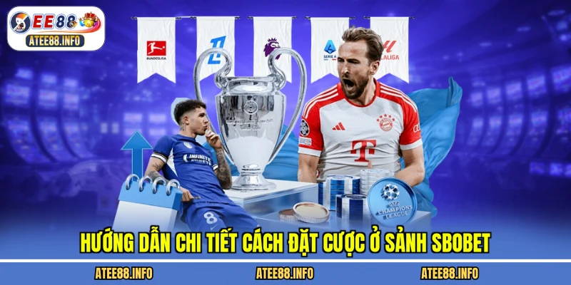 Hướng dẫn chi tiết cách đặt cược ở sảnh sbobet